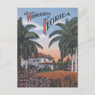 Vintage Florida Brochure Postcard