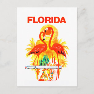 Vintage Florida Flamingos Travel Postcard