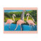 Vintage Florida Flamingos Travel Postcard