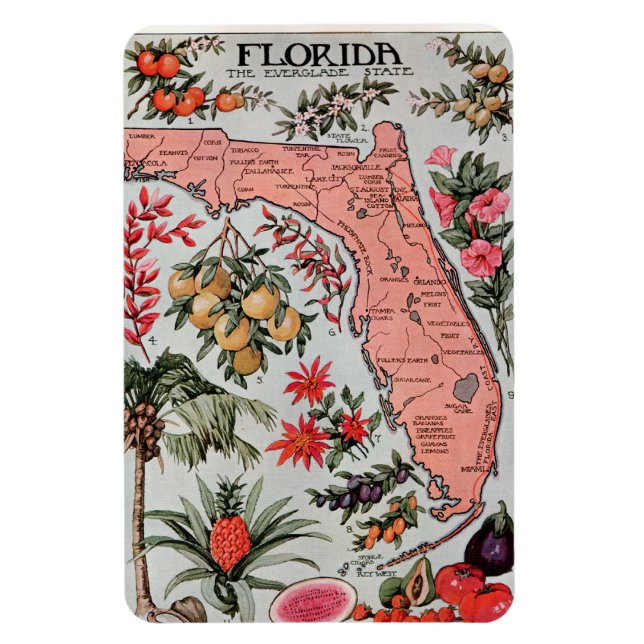 Vintage Florida Map Magnet (Vertical)
