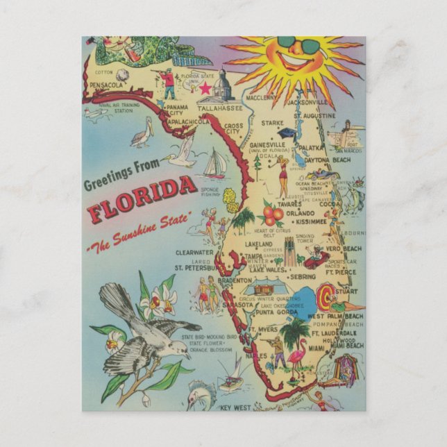 Vintage Florida Map Moving/ Relocating Postcard (Front)