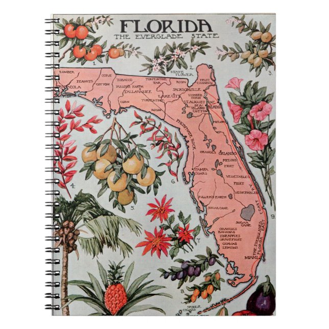 Vintage Florida Map Notebook (Front)