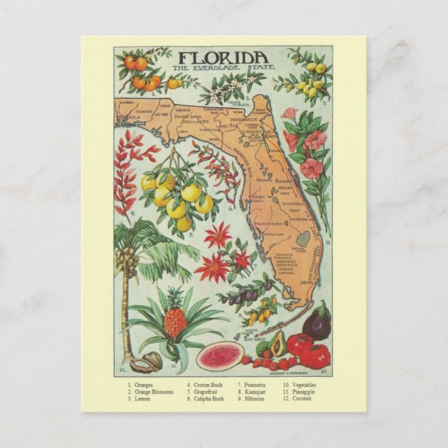 Vintage Florida Map Post Card (Front)