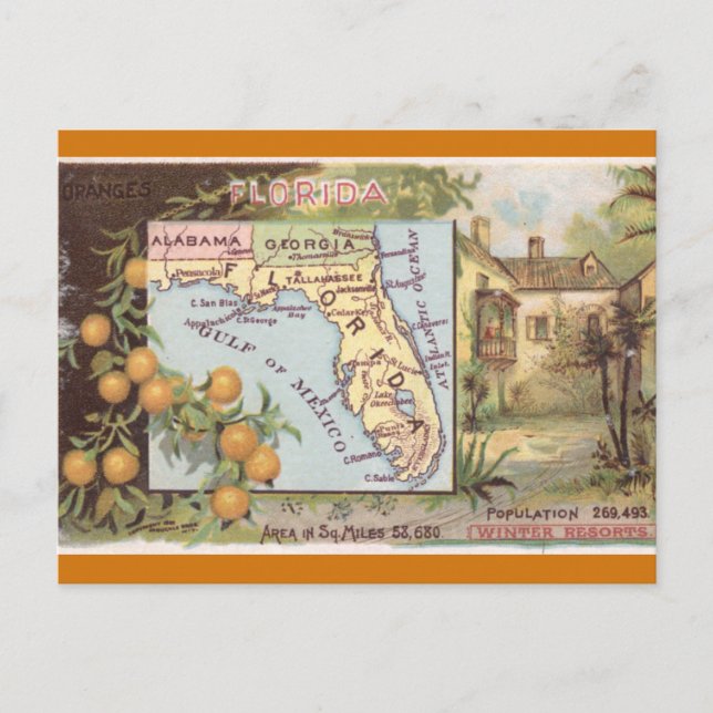 Vintage Florida Map Postcard (Front)