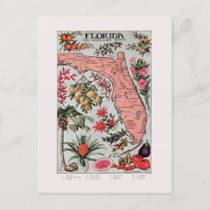 Vintage Florida Map Postcard