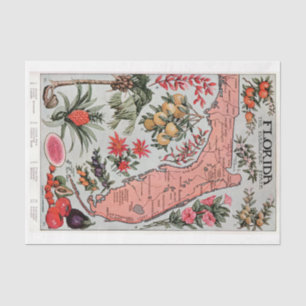 Vintage Florida Map  Tissue Paper