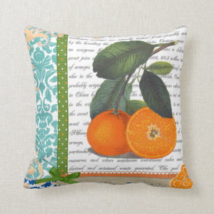 Vintage Florida Orange Fruit kitchen pillow