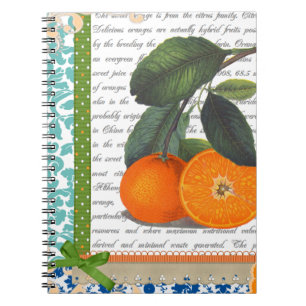 Vintage Florida Orange Fruit recipe notebook