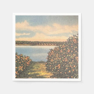 Vintage Florida Orange Grove Napkin