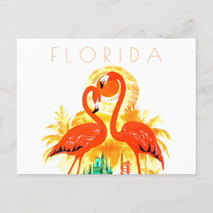 Vintage Florida travel postcard flamingos mid cent