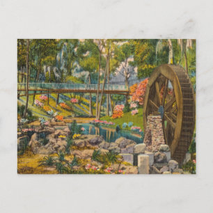 Vintage, Florida, Tropical Lake Hidden Cove Postcard