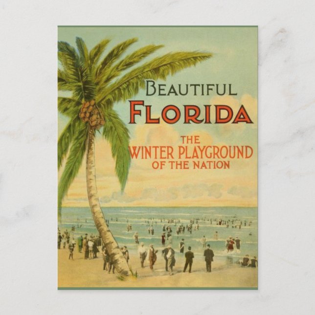 Vintage Florida Winter Playground Postcard (Front)