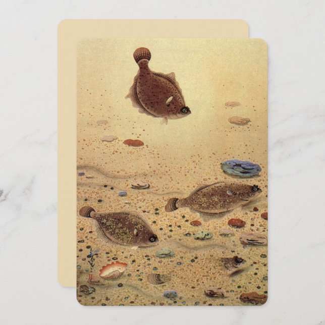 Vintage Flounders Flat Fish Fishing Invitation (Front/Back)