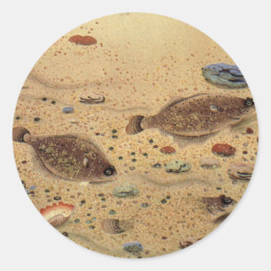 Vintage Flounders, Marine Ocean Life Flat Fish Classic Round Sticker