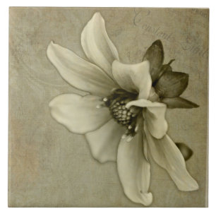 Vintage Flower - Art Tile