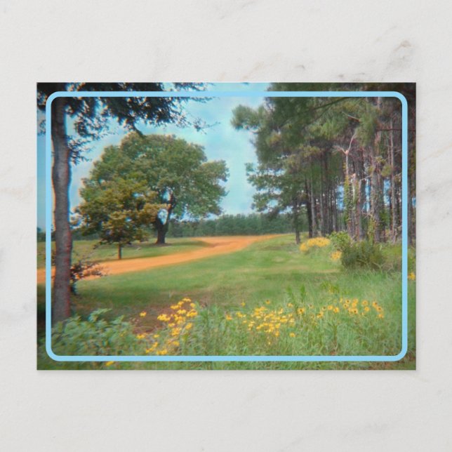 Vintage Flower Field Postcard (Front)