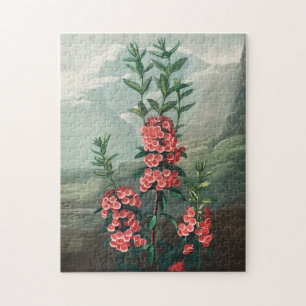 Vintage Flower Illustration Jigsaw Puzzle