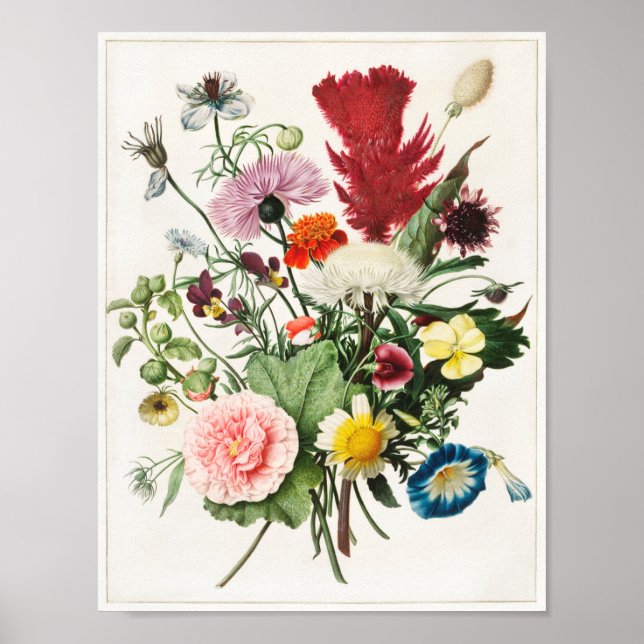 Vintage Flower Illustration Poster (Front)