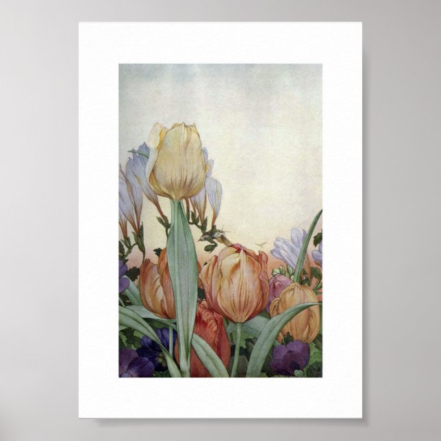 Vintage Flower Illustration Poster (Front)