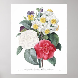 Vintage Flower Illustration Poster