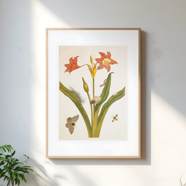 Vintage Flower Plant Botanical Illustration Poster (Creator Uploaded)