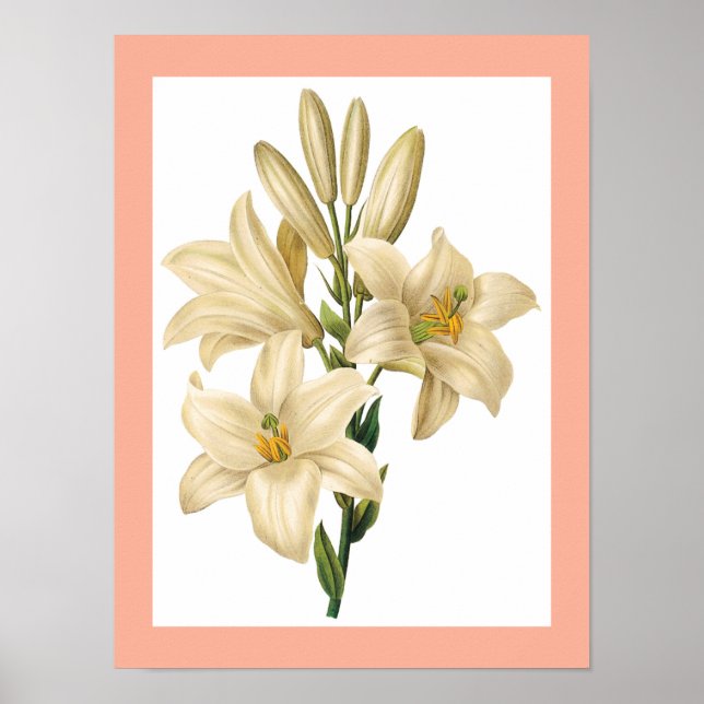 Vintage Flower poster 1 (Front)