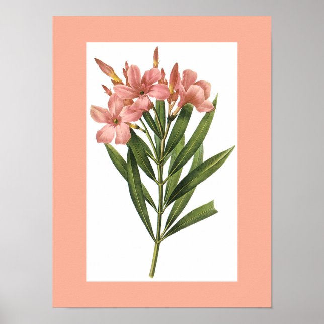 Vintage Flower poster 3 (Front)