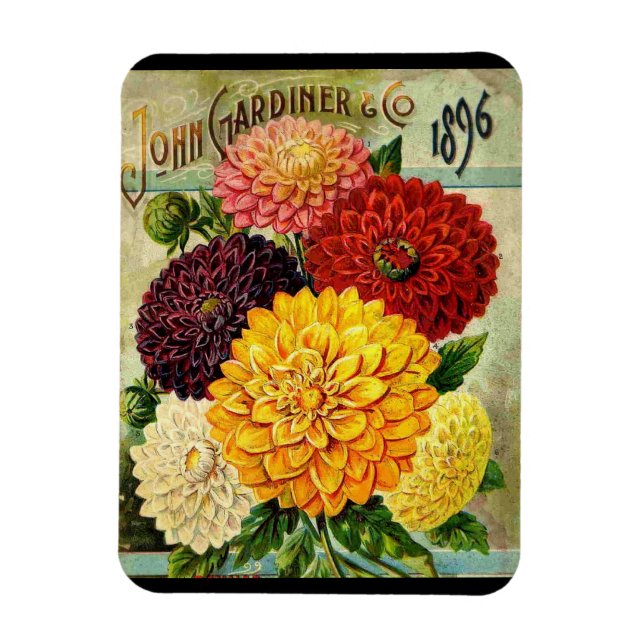 Vintage Flower Seed Packet- Flexi Magnet (Vertical)