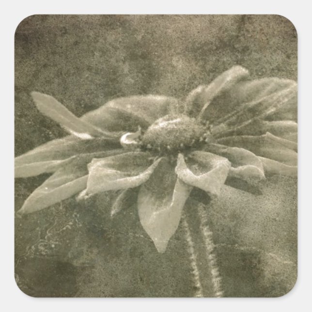 Vintage Flower Square Sticker (Front)