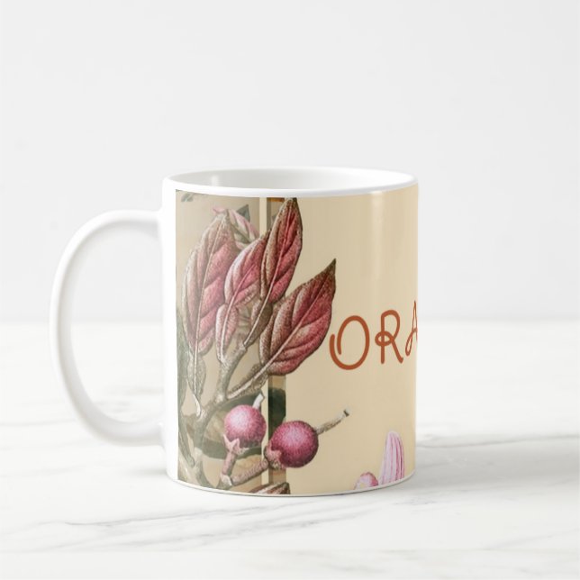 Vintage Flowers and Oranges  Coffee Mug (Left)