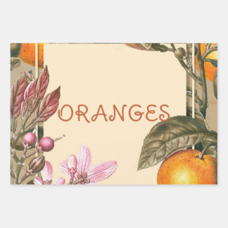 Vintage Flowers and Oranges Wrapping Paper Sheet