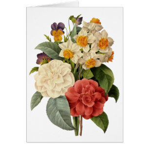 Vintage Flowers, Camellias and Narcissus, Redoute