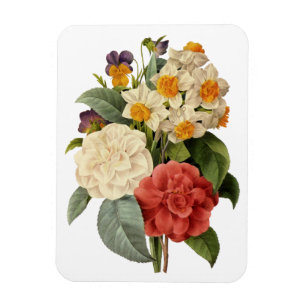 Vintage Flowers, Camellias and Narcissus, Redoute Magnet