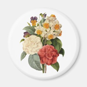 Vintage Flowers, Camellias and Narcissus, Redoute Magnet
