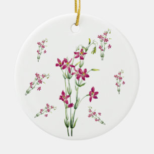 Vintage Flowers - Centaurium by Mary Vaux Walcott Ceramic Ornament