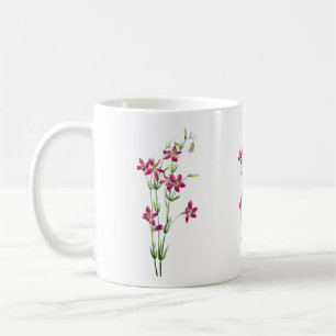 Vintage Flowers - Centaurium by Mary Vaux Walcott Coffee Mug