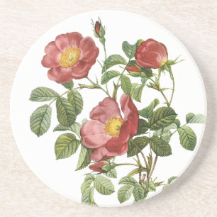 Vintage Flowers Floral Red Rose of Love by Redoute Coaster