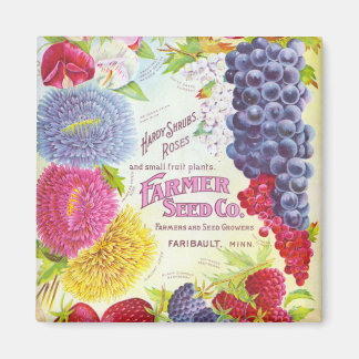 Vintage Flowers & Fruit Magnet