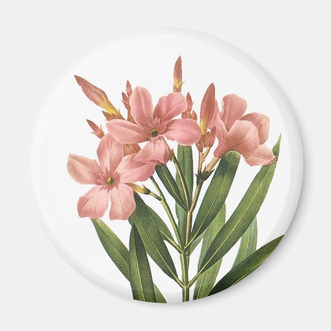 Vintage Flowers magnet 3 (Front)