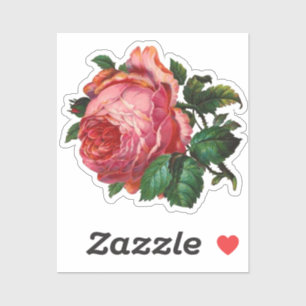 Vintage Flowers Pink Roses Floral