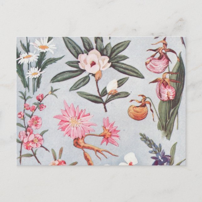 Vintage Flowers Postcard (Front)