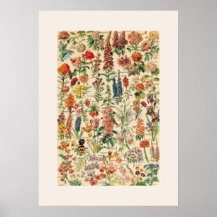 Vintage Flowers Poster