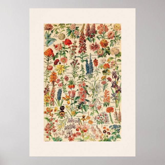 Vintage Flowers Poster (Front)