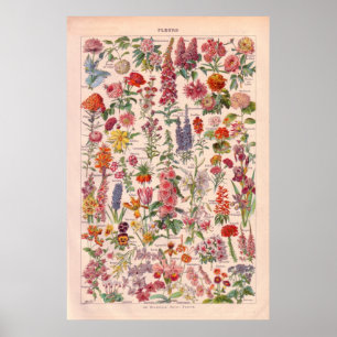Vintage   Flowers  poster 1920