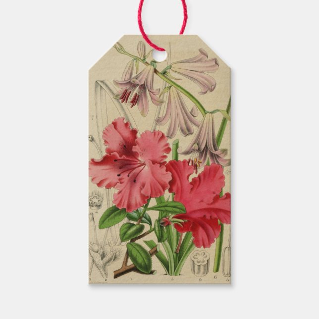 Vintage Flowers Tag (Front)