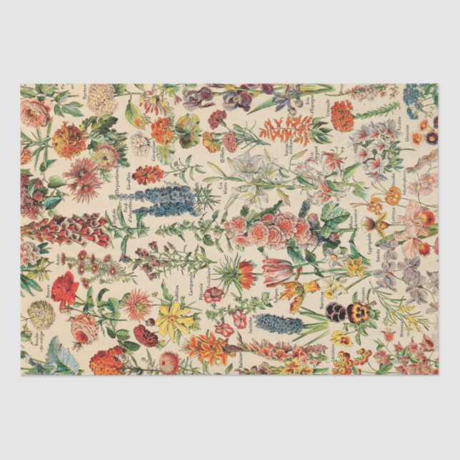 Vintage Flowers Tissue Paper (Front)