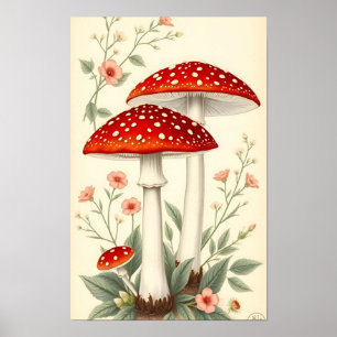 Vintage Fly Agaric Red And White Mushrooms Floral Poster