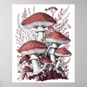 Vintage Fly Agaric Red And White Mushrooms Floral Poster