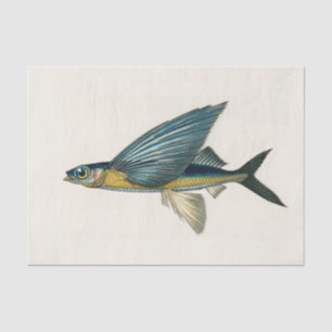 vintage flying fish watercolor tissue paper