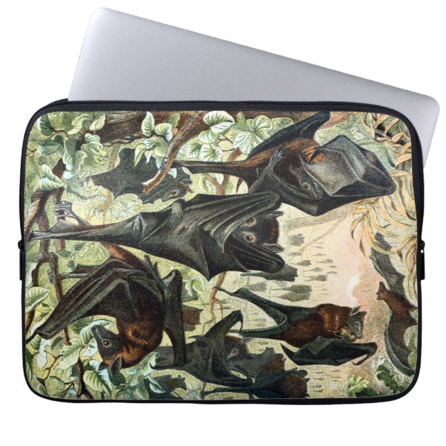 Vintage flying fox bat acadamia illustration  laptop sleeve (Front)